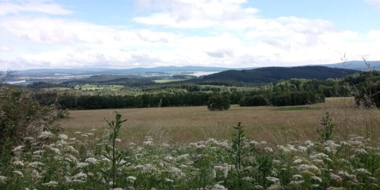 #27: Špičák u Lipna (nad Horní Planou)